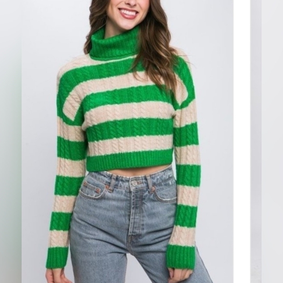 Striped Cropped Turtleneck Sweater - Picture 1 of 9